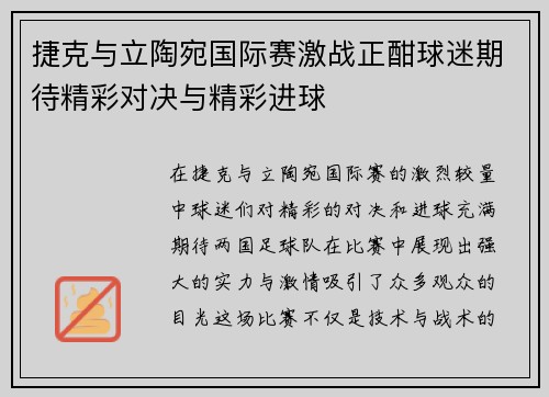 捷克与立陶宛国际赛激战正酣球迷期待精彩对决与精彩进球